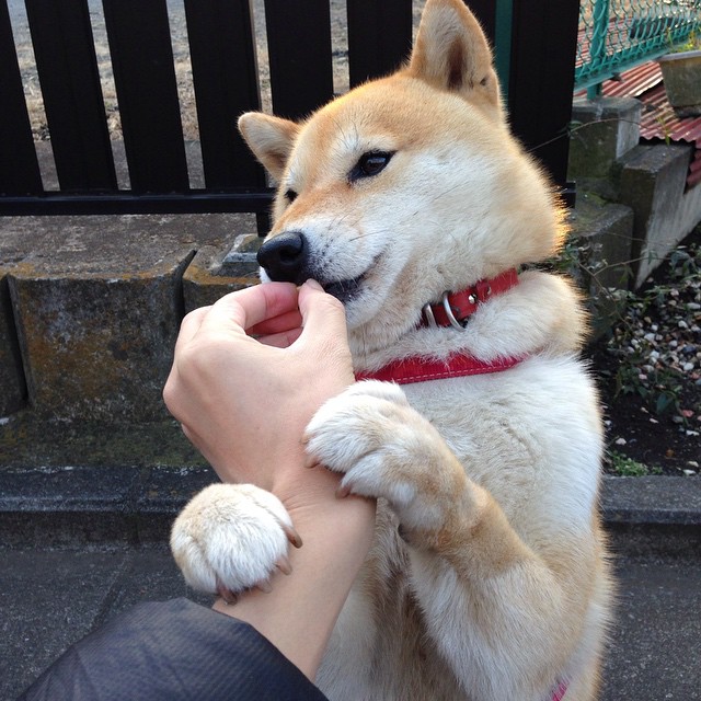 乐鱼体育app官网入口-世界杯中国女足战败 球迷分析技战术短板，史诗级对攻!中国女足3-4落后,连扳2球绝杀世界第1