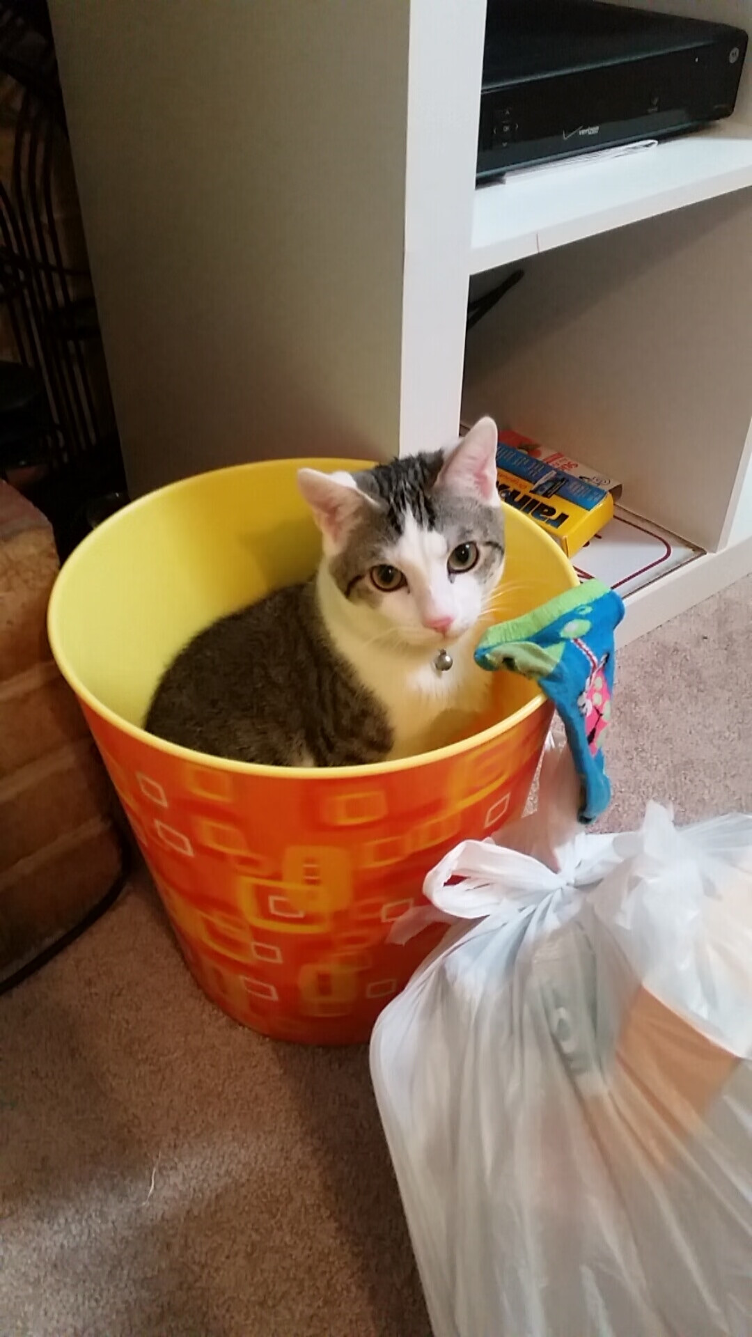 乐鱼体育官网-东亚杯中国女足战胜 球员士气大增，东亚杯女足比赛结果