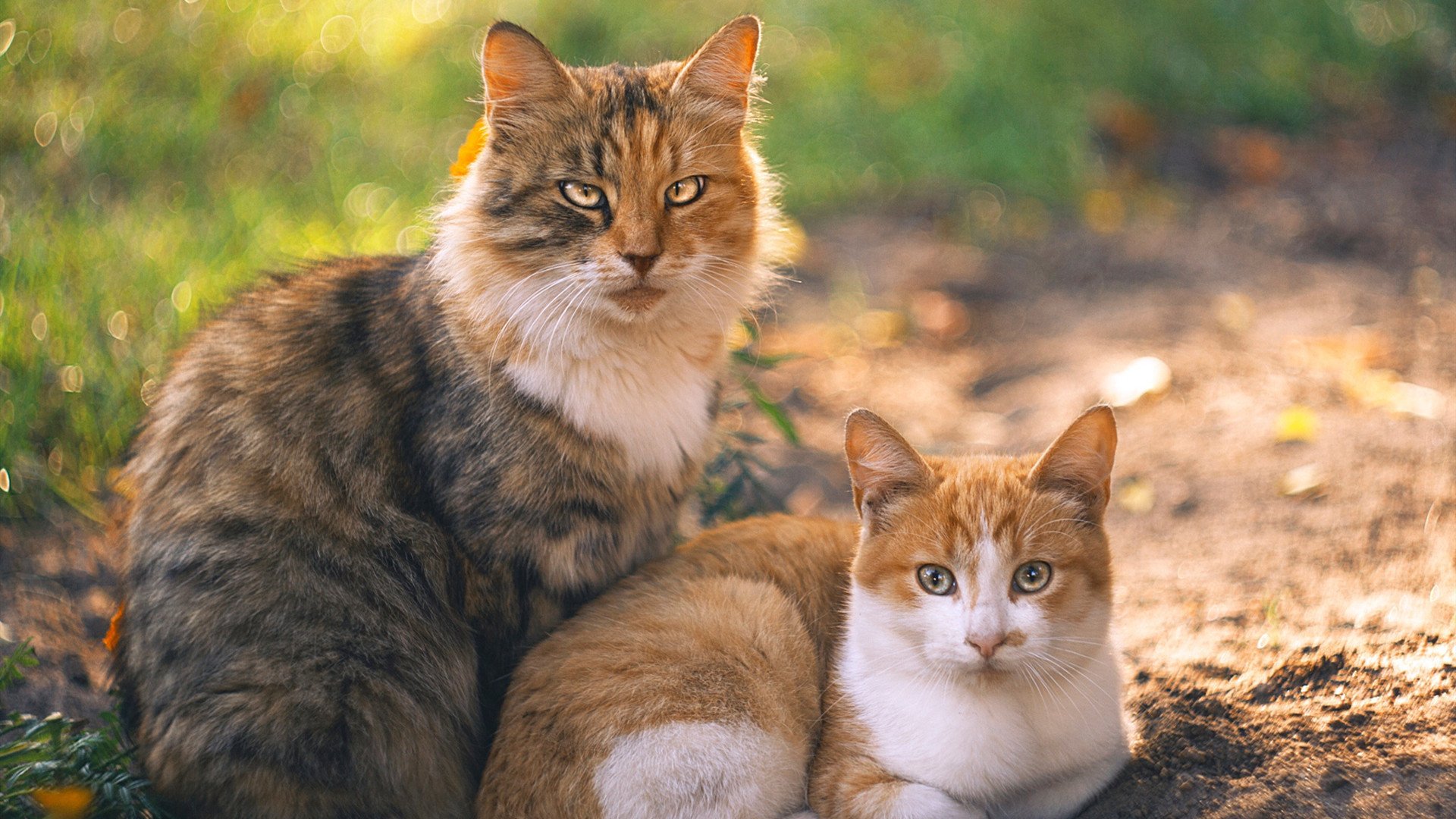 乐鱼体育官网注册-体育+文旅融合，天府新区释放发展新动能，天府新区文旅城