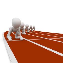 乐鱼体育官网网址-全运会筹备工作进入冲刺阶段，全运会备战方案