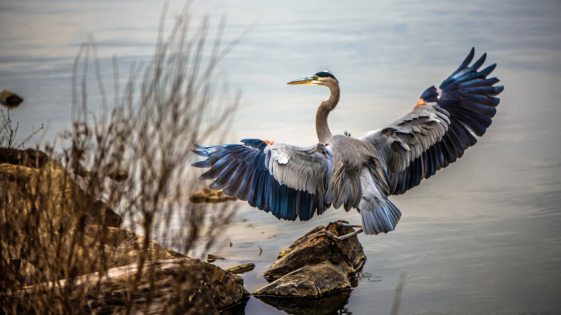 乐鱼体育app官方入口-国际乒联混合团体世界杯2024赛制最新动向，国际乒联 世界杯