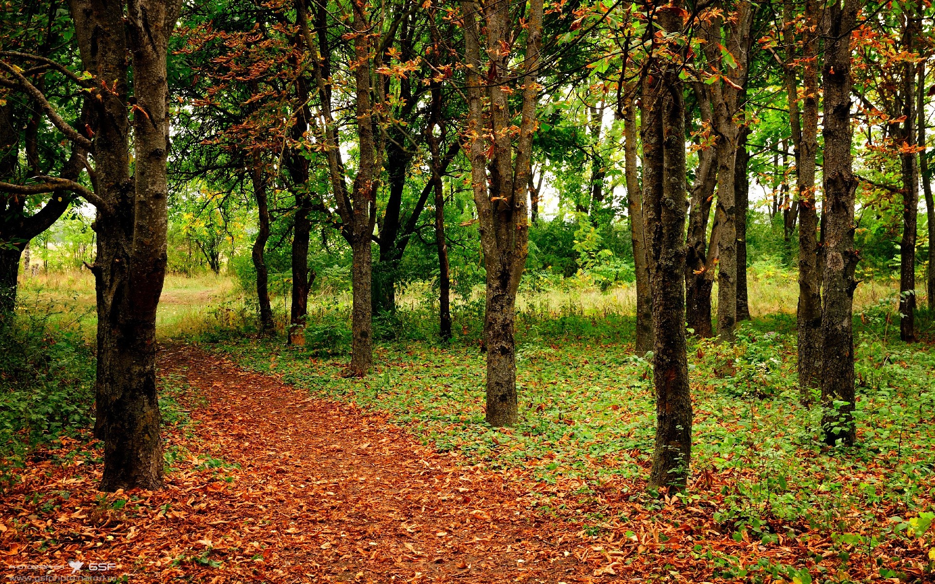 乐鱼体育app官网-澳大利亚乒乓球队未来发展:如何迎接国际赛事挑战,澳大利亚乒乓球队名单