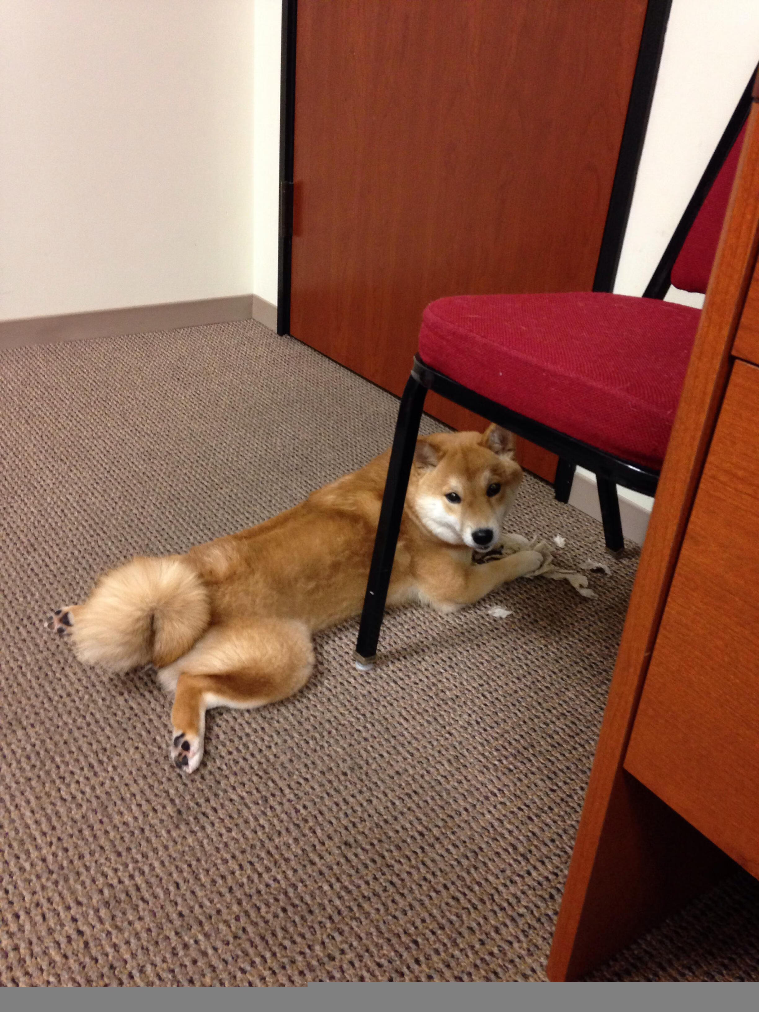 乐鱼体育官网优惠-赛事门票一售而空，举办城市迎来球迷潮，买球赛门票的网站哪个好