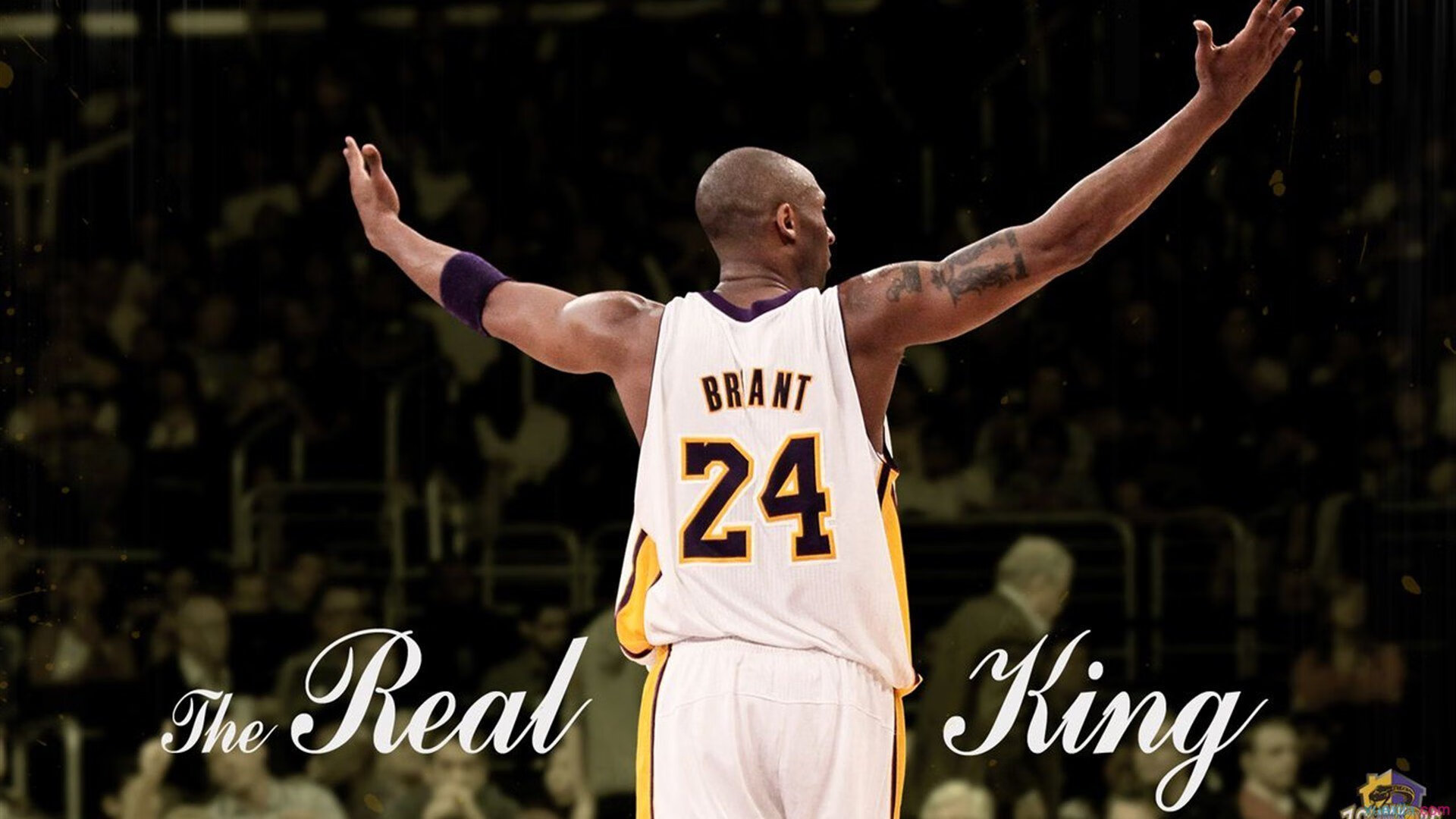 丹·卡特:突破传统踢球模式,引领全黑队的新攻势,丹.卡特